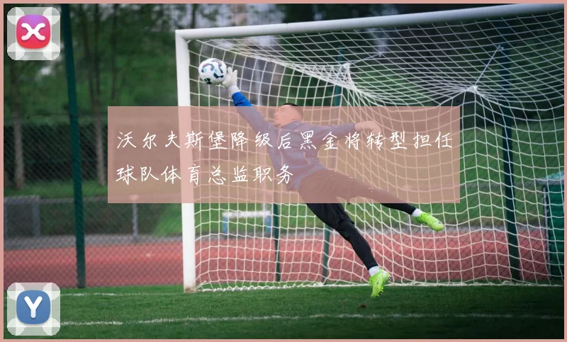 沃尔夫斯堡降级后黑金将转型担任球队体育总监职务